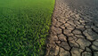 © Oleksiy - Striking contrast between rich green agriculture, cracked dry earth. Powerful visual of environmental imbalance, climate change impact, farming challenges