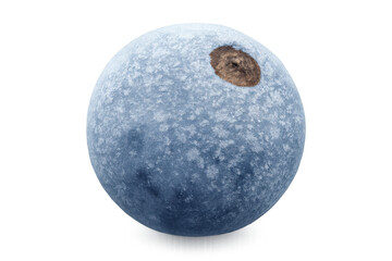 Poster - Rotating blueberry isolated on transparent background, perfect for healthy eating and lifestyle projects