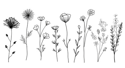 
A set of hand drawn wildflowers doodles, vector illustration, simple line art, cute style, simple lines, doodle clipart, doodling, simple, white background.
