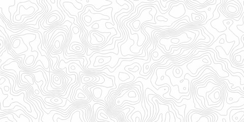 Poster - Abstract vector Lines Topographic contour lines grid map seamless pattern. Geographic mountain relief. minimal lines background. Contour maps. illustration, Topo contour map design.	
