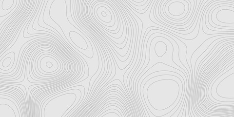 Fototapete - Grey topography map for geographic mountain landscape terrain grid with contour lines for modern seamless ornament design, geographic relief map grey abstract wave shapes curvy line trendy design.