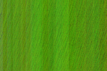 Poster - Abstract green soft texture background with smooth shapes pattern.