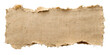 © myselfhafij - A piece of torn brown textured paper isolated on transparent background