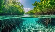 © Igor_Tichonow - An underwater mangrove view with sunlight illuminating the crystal-clear water and roots