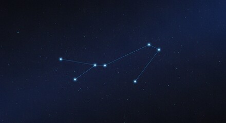 Poster - Constellation of Leo on a starry night