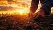 © Hassan - A farmer planting seeds in a field at sunset with warm light shining on the soil and new plants
