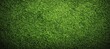 © Kota - Close-up view of textured green grass