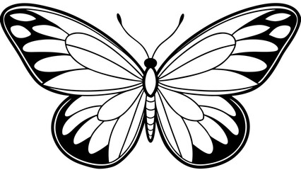 Elegant black and white butterfly illustration with symmetrical wings
