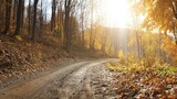 A winding dirt path through an autumn forest, lined with golden leaves under soft sunlight.