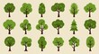 © Rifki Art - A diverse collection of natural green trees with vibrant leaves and botanical foliage
