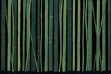 Dense green bamboo stalks, dark background