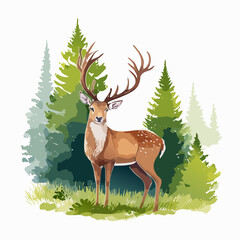 Naklejka na meble Majestic spotted stag with large antlers standing in a stylized watercolor pine forest.