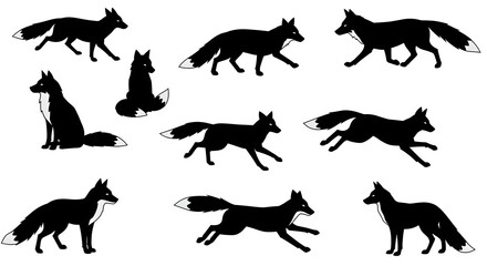 Poster - A collection of black fox silhouettes in various poses on a white background illustration art