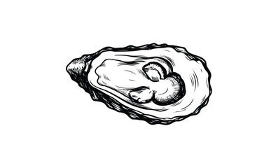 Wall Mural - intricate black and white illustration of an oyster shell with detailed texture. vector retro hand d