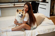 © standret - Embracing the pet. Woman is with her Shibu Inu dog at home