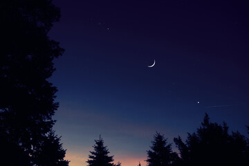 Wall Mural - crescent young moon with stars, planets and rural countryside tree silhouettes.
