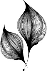 Poster - Abstract floral design with split petals and buds for creative art projects