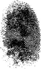 Poster - Abstract black and white fingerprint texture for design and background