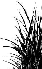 Poster - Abstract nature design with tall grass blades - perfect for seasonal backgrounds and print decor