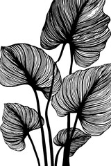 Poster - Tropical leaf silhouettes on white background for design and decoration
