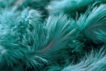  A closeup of teal feathers in a layered abstract composition Fine details are highlighted