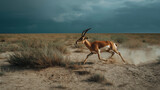 Swift antelope running through arid plains beneath dramatic stormy skies
