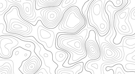 Topography map background featuring curved line terrain relief, clean geographic grid, and seamless vector mapping for outdoor and science visuals