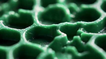 Abstract Green Honeycomb Texture Close Up Macro Details Three Dimensional Cellular Structure Glossy Surface