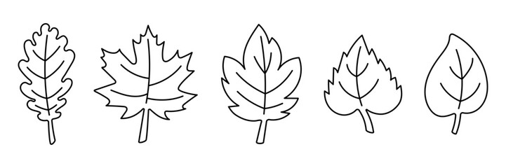 hand drawn leaves outline set. editable stroke. simple black line art of various leaf shapes includi