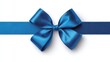 © 相宜 - Elegant Blue Gift Ribbon and Bow