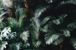 © Space - Lush green tropical foliage wall