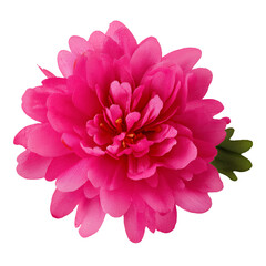 Wall Mural - Pink artificial flower head isolated on white