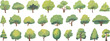 © Imran - Watercolor illustration of stylized green trees with varying shapes and sizes arranged in three rows on a white background