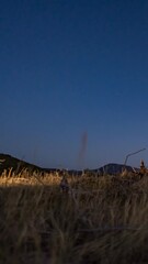 Wall Mural - Sunset to Milky Way vertical panning time lapse in Utah's West Desert mountains - uprooted tree in the foreground