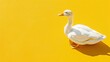 © Somvang - White duck sitting on vibrant yellow surface, clean and modern, minimal shadows