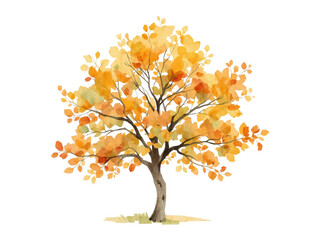 Elegant golden foliage watercolor tree artwork on a pristine transparent backdrop radiating warmth