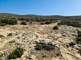 Rocky landscape and sparse vegetation covering the hills of Malta