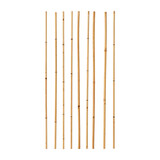 Collection of bamboo sticks arranged vertically on a white background