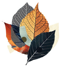 Autumn Patchwork Collage Art Free Stock Photo - Public Domain Pictures