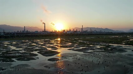 Wall Mural - araffes in the water at sunset with a factory in the background