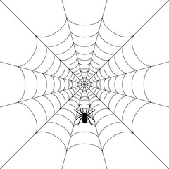 Black cobweb or spider web with spider in flat design. Vector Halloween Illustration.