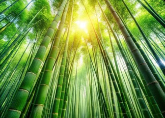 Wall Mural - Bamboo forest with lush greenery