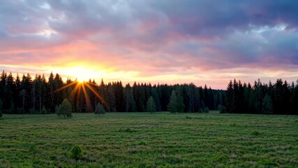 Wall Mural - sunset over a field with a few bushes and trees in the foreground