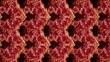 © ma wuer - A fractal pattern of carcinogenic warning labels crafted from processed meat textures, forming an infinite loop.