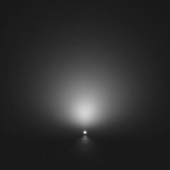 Wall Mural - abstract grayscale spotlight design