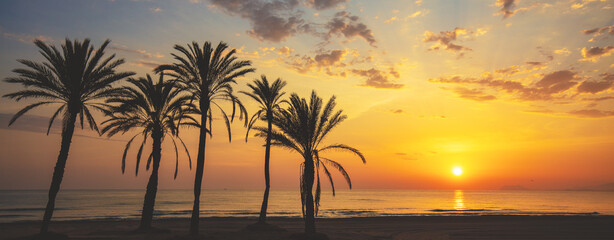 Wall Mural - Seascape in early morning. Embankment with palm trees during a beautiful sunrise. Promenade with palm trees. San Juan beach, Alicante, Spain. Horizontal banner