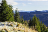 Coniferous forest in the mountain peaks in Romania. Carpathian Mountains in the autumn season and cloudy sky. Mountain Landscape. Transylvania is a region in central Romania