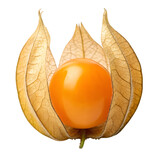 Golden Gooseberry Fruit with Papery Husk cape gooseberry