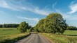 © ArtificialHorizons - Picturesque country lane winding through agricultural fields. Color photo with a nature focus.