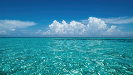 Wall Mural - panorama of the ocean under a sunny sky with fluffy clouds